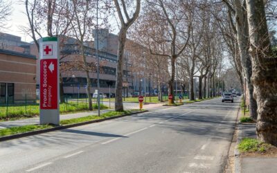 Gara n. 537564 AUSL Azienda Unita’ Sanitaria Locale di Reggio Emilia