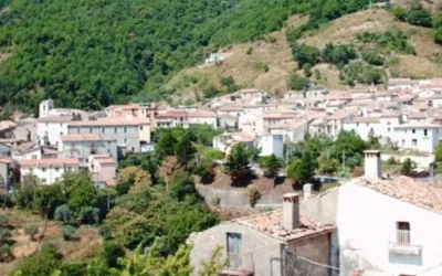 Gara n. 522236 Comune di Mongrassano (CS)