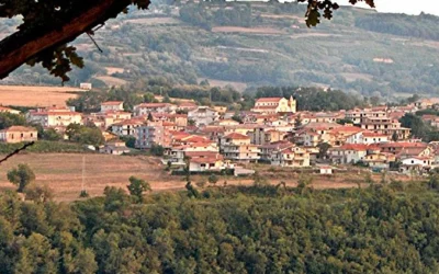 Gara n. 522105 Comune di Spilinga (VV)