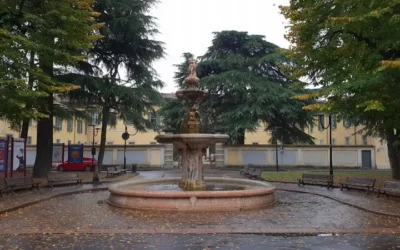 Gara n. 535523 Comune di Rho (Milano)