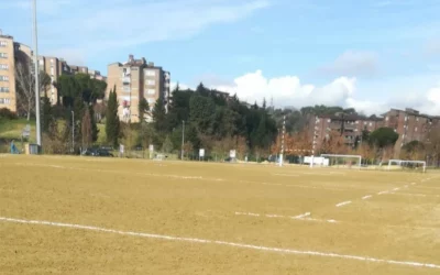 Gara n. 533942  Comune di Siena (SI)
