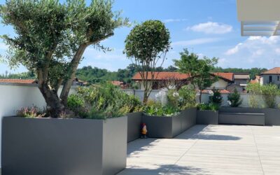 Gara n. 532921 Comune di Pergine Valsugana (TN)