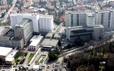 Gara n. 541810 Azienda Ospedaliera di Padova
