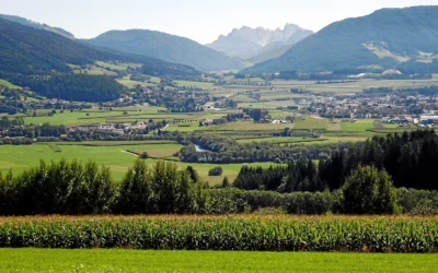 Gara n. 555052 Comunita’ Comprensoriale Valle Pusteria (Bolzano)