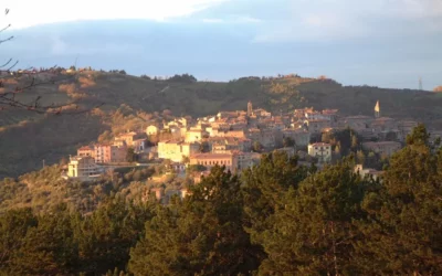 Gara n. 555684 Comune di Seggiano (Grosseto)