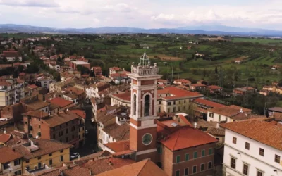 Gara n. 555686 Comune di Foiano Della Chiana (Arezzo)