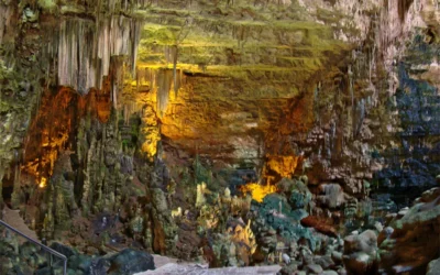 Gara n. 550471 Comune di Castellana Grotte (BA)
