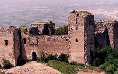 Gara n. 553004 Comune di San Felice A Cancello (CE)
