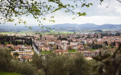 Gara n. 563268 Comune di Poggio a Caiano (Prato)