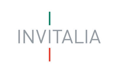 Gara n. 578862  INVITALIA Agenzia Nazionale per l’Attrazione degli Investimenti e lo Sviluppo d’Impresa di Roma
